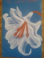 /album/prints1/lily-conte-jpg2/